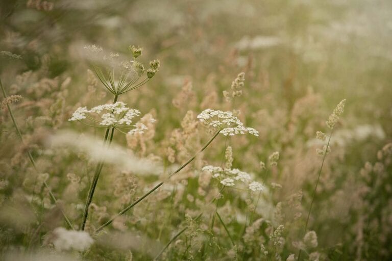 Gallery - Get Lost in Nature